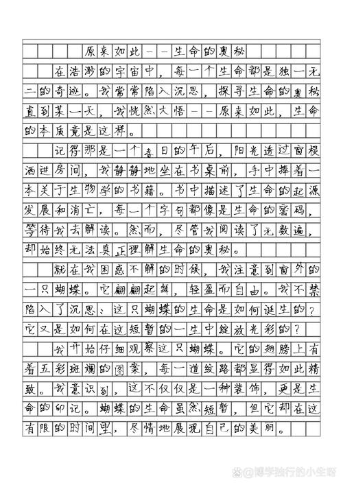 哦，原来这才是作文的真相？