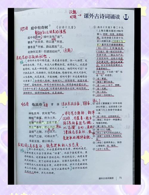 八上古诗赏析题怎么答？