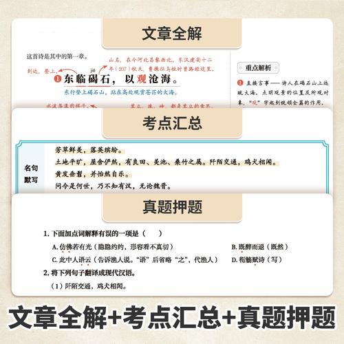 2025中考古诗文背诵范围有哪些变化？