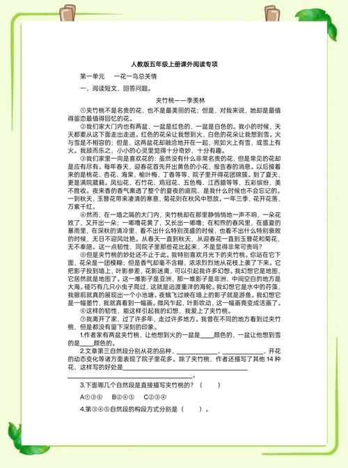 五年级语文课外阅读理解怎么做？