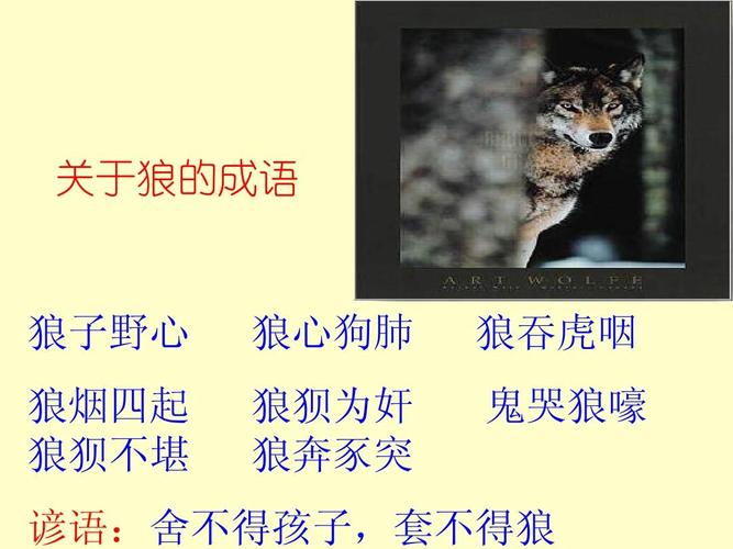 七年级下册语文狼PPT重点是什么？
