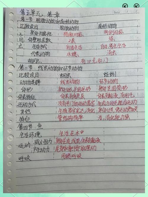 八年级生物上册教学总结,如何提升课堂效率?