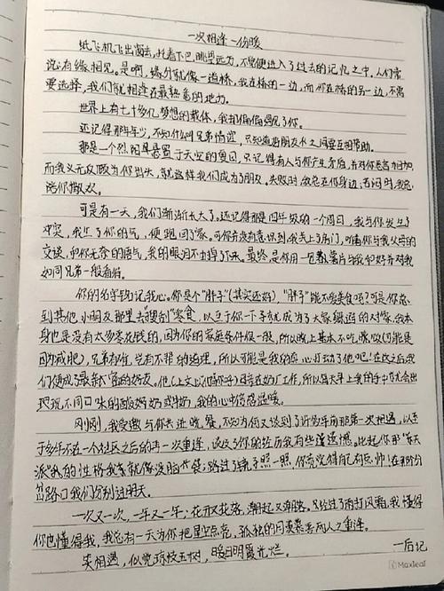 相逢为何能带来温暖？