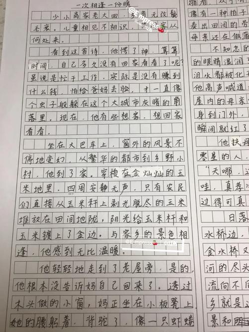 相逢为何能带来温暖？