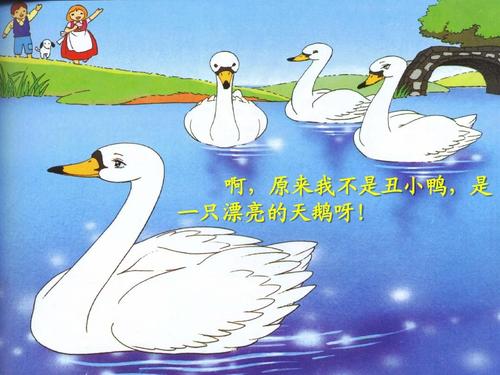 七年级下册丑小鸭PPT如何突出教学重点?