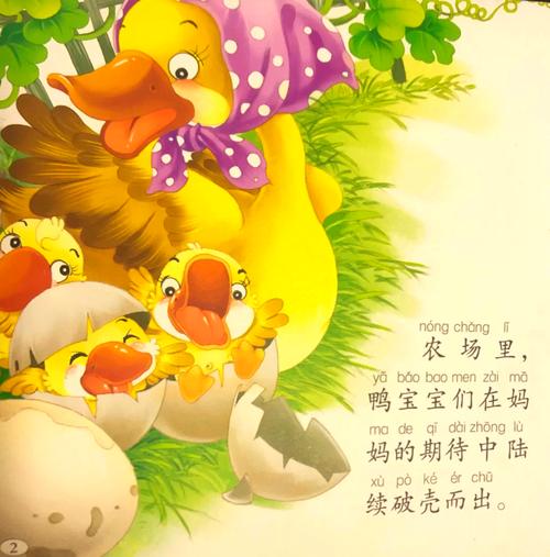 七年级下册丑小鸭PPT如何突出教学重点?