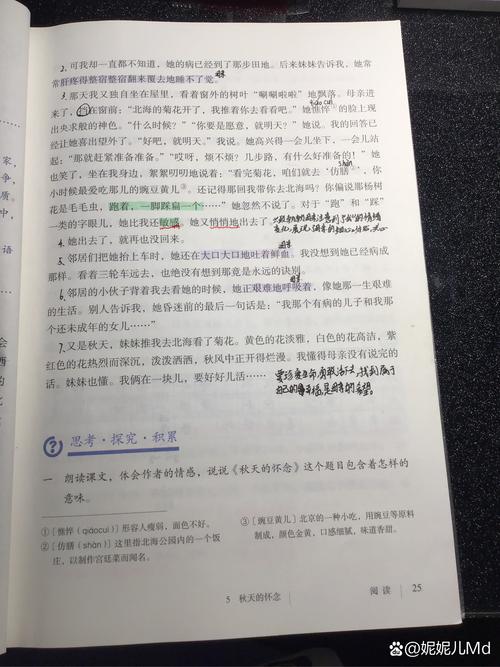 秋天的怀念为何让七年级学生读懂生命与母爱？