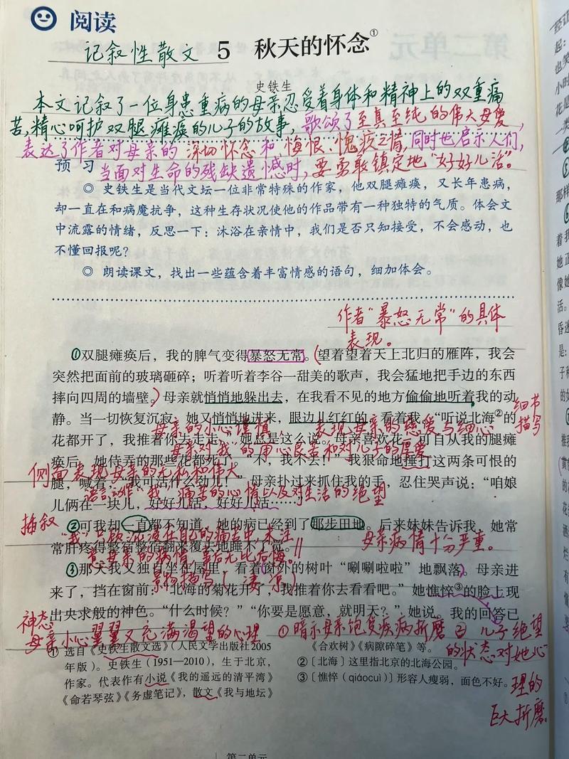 秋天的怀念为何让七年级学生读懂生命与母爱？