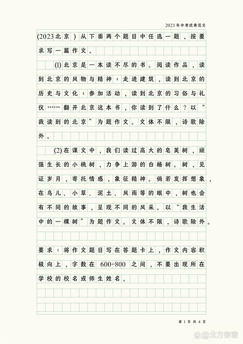 2025北京语文作文怎么写？评分标准是什么？