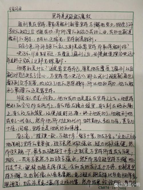 是我致胜的魔杖究竟是什么？