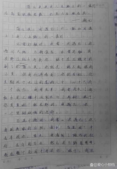 中考700字满分作文怎么写?