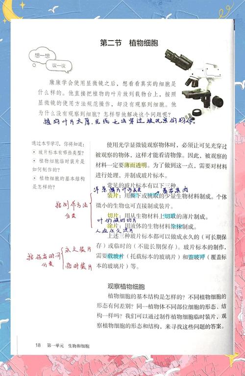 植物细胞结构有何独特功能?