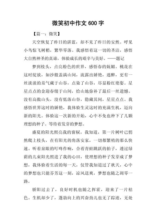 微笑为何能成为600字作文的灵魂?