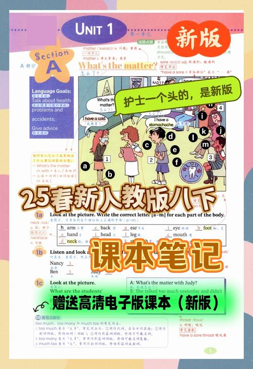 八年级下册英语综合答案在哪里找？