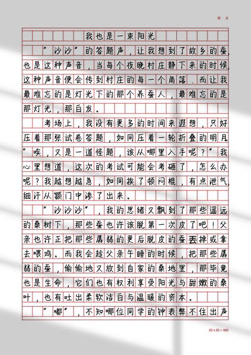 我也是一束阳光，照亮了谁？