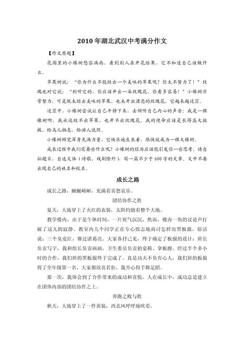 2010年中考作文题是什么？