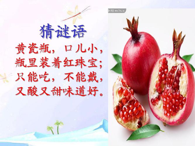 苏教版三年级石榴PPT该怎么用？