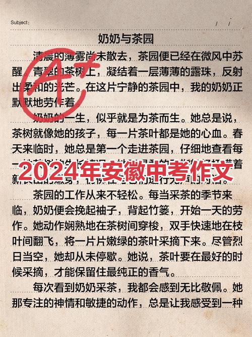 2025安徽中考作文考什么?