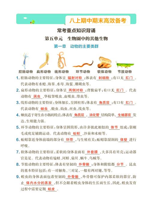 人教版 八年级生物重点