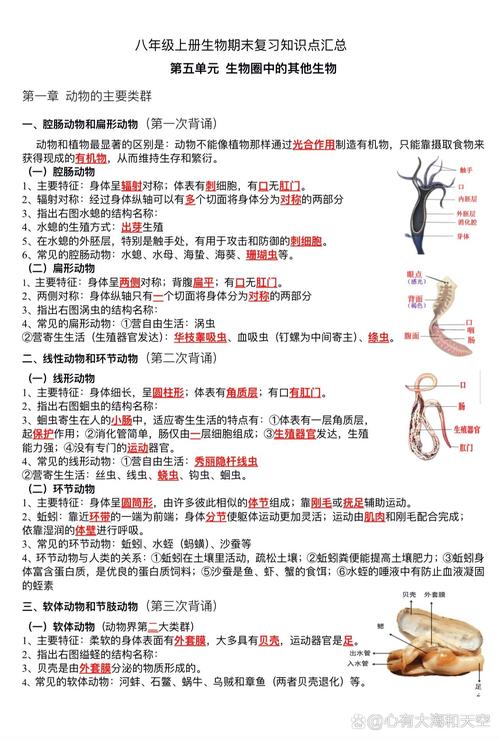 人教版 八年级生物重点