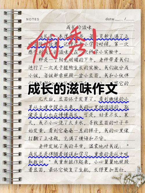 以 的滋味为题的滋味究竟是什么滋味？