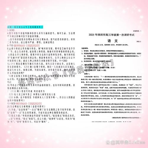 2025深圳一模作文核心议题是什么？
