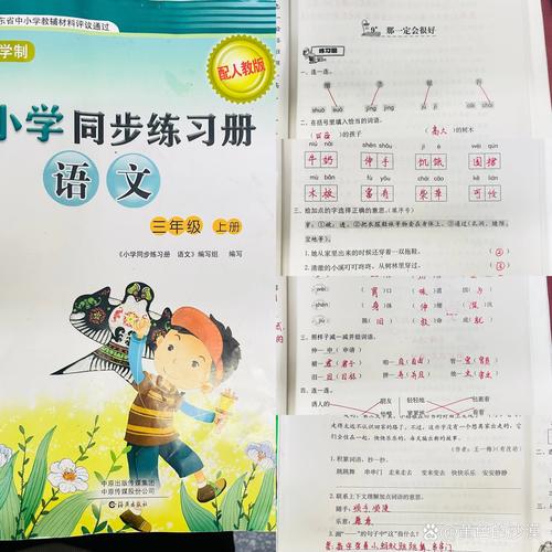 三年级上册一课一练答案哪里能找到？