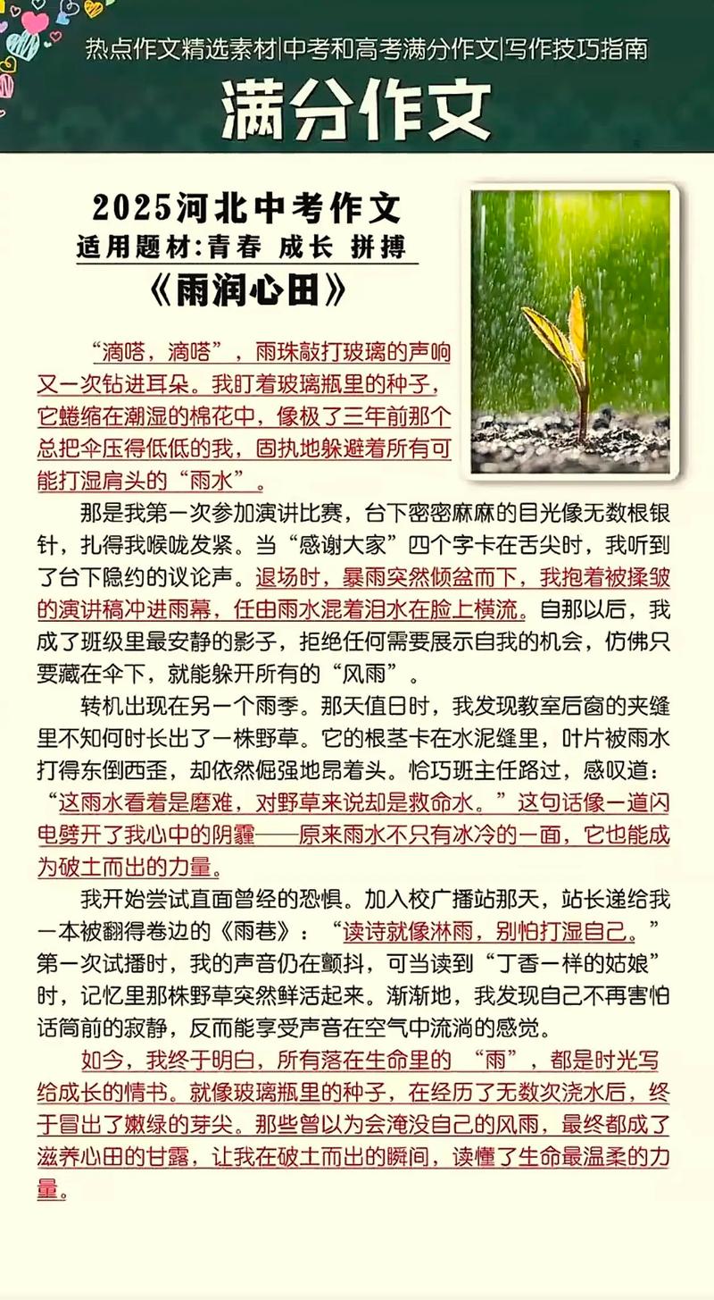 2025河北中考作文考什么?