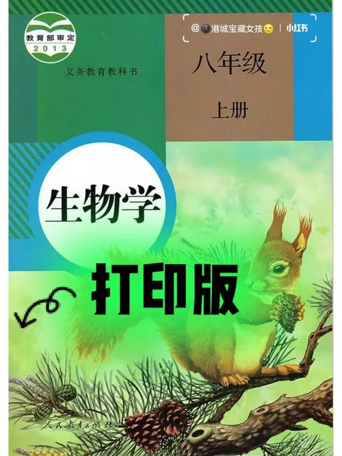 八年级上册第五单元2b讲了什么内容？