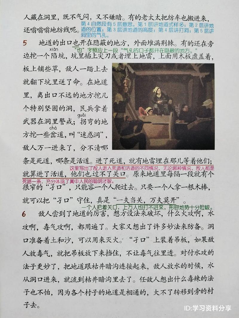 人教版七年级上册第八课讲了什么？