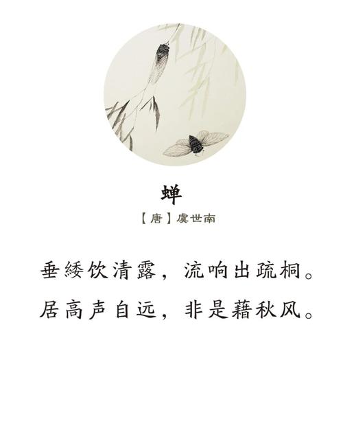 蝉古诗常见问题有哪些？