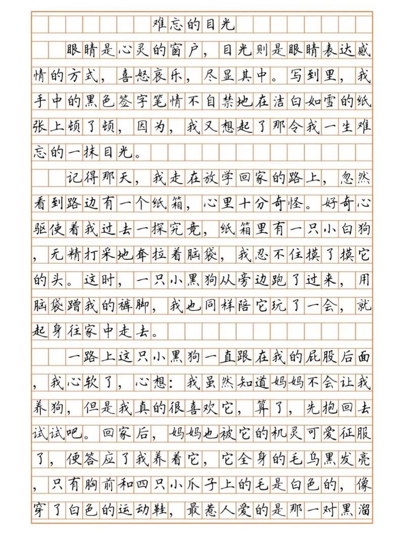 难忘那怎样的目光？