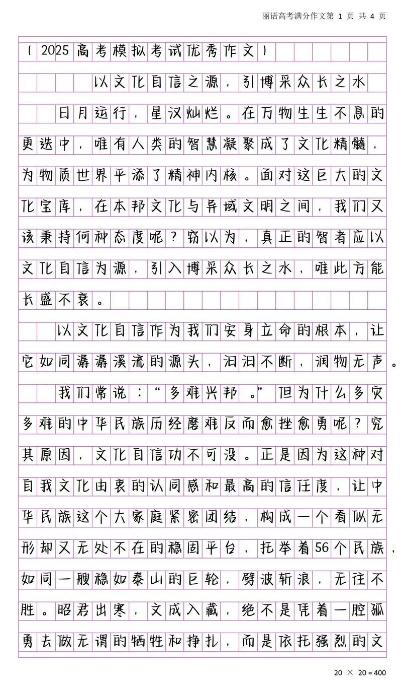 2025高三一模作文，核心考点与备考方向是什么？