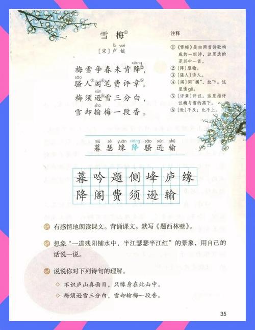 初雪赏梅古诗文阅读答案何在？