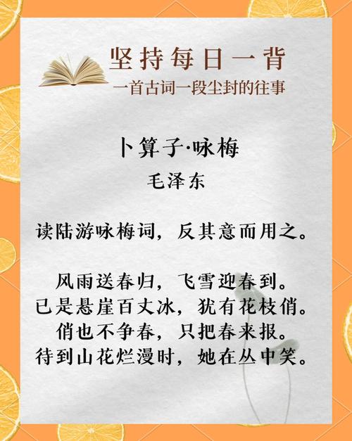 初雪赏梅古诗文阅读答案何在？