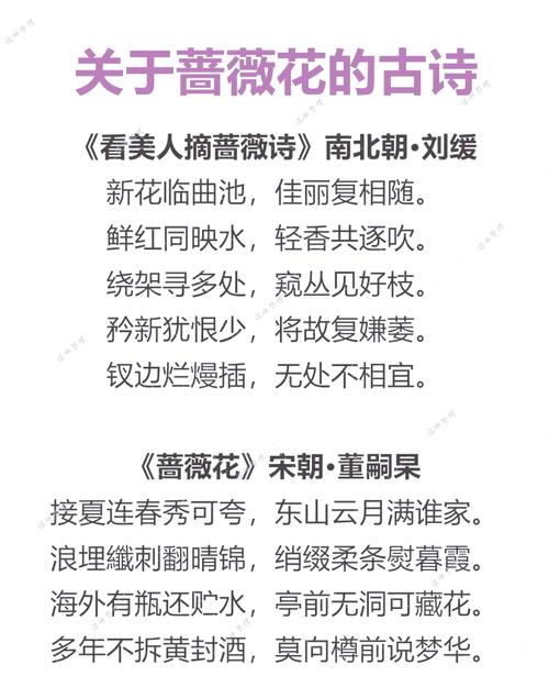 后庭花作者许浑,如何借古讽今抒兴亡之叹?