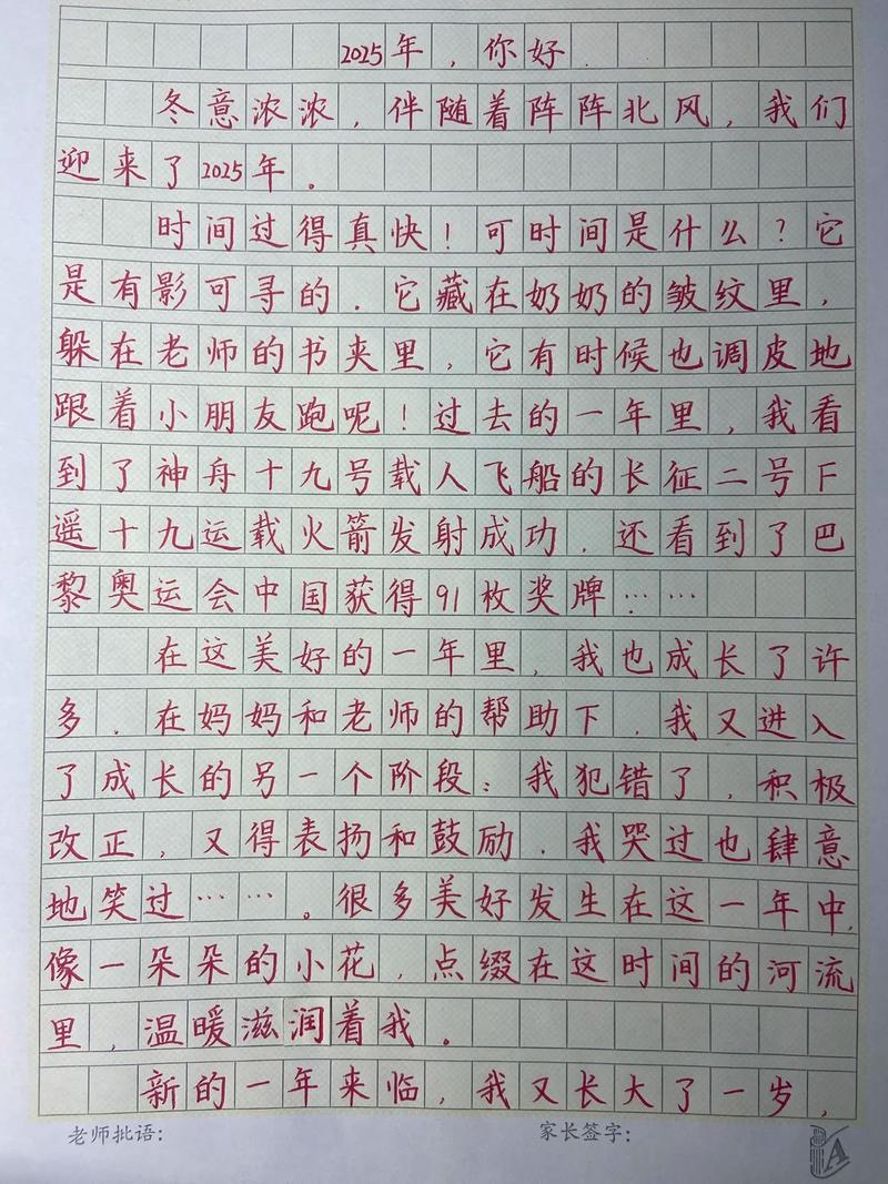 你好 2025 作文
