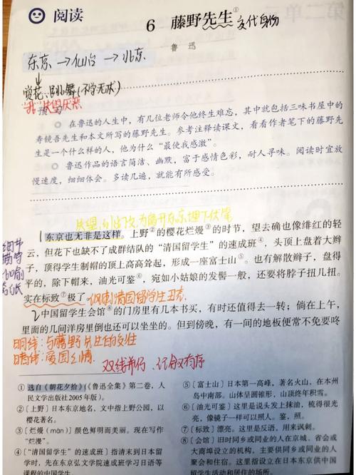 八年级上册第六单元课文讲了什么？