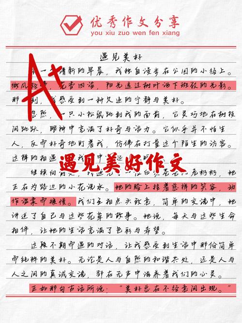 遇见，是偶然还是必然？