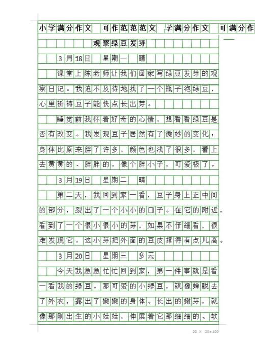 观察日记，300字里藏着什么秘密？