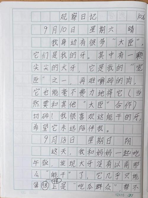 观察日记，300字里藏着什么秘密？