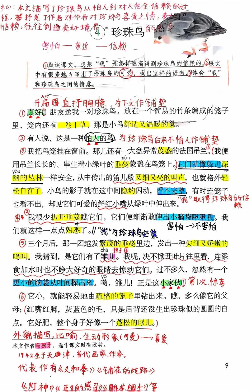 珍珠鸟为何能从怕人到亲近人？