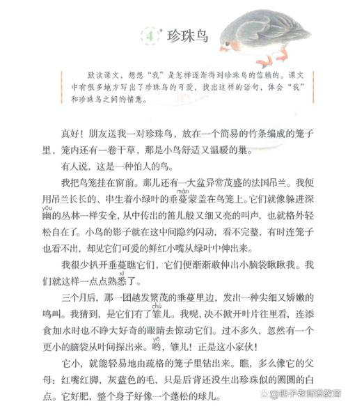 珍珠鸟为何能从怕人到亲近人？