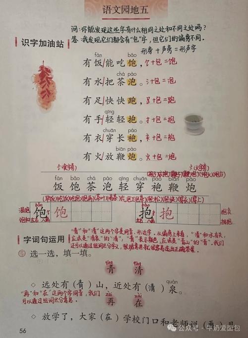 一年级下册识字5课文讲了什么？