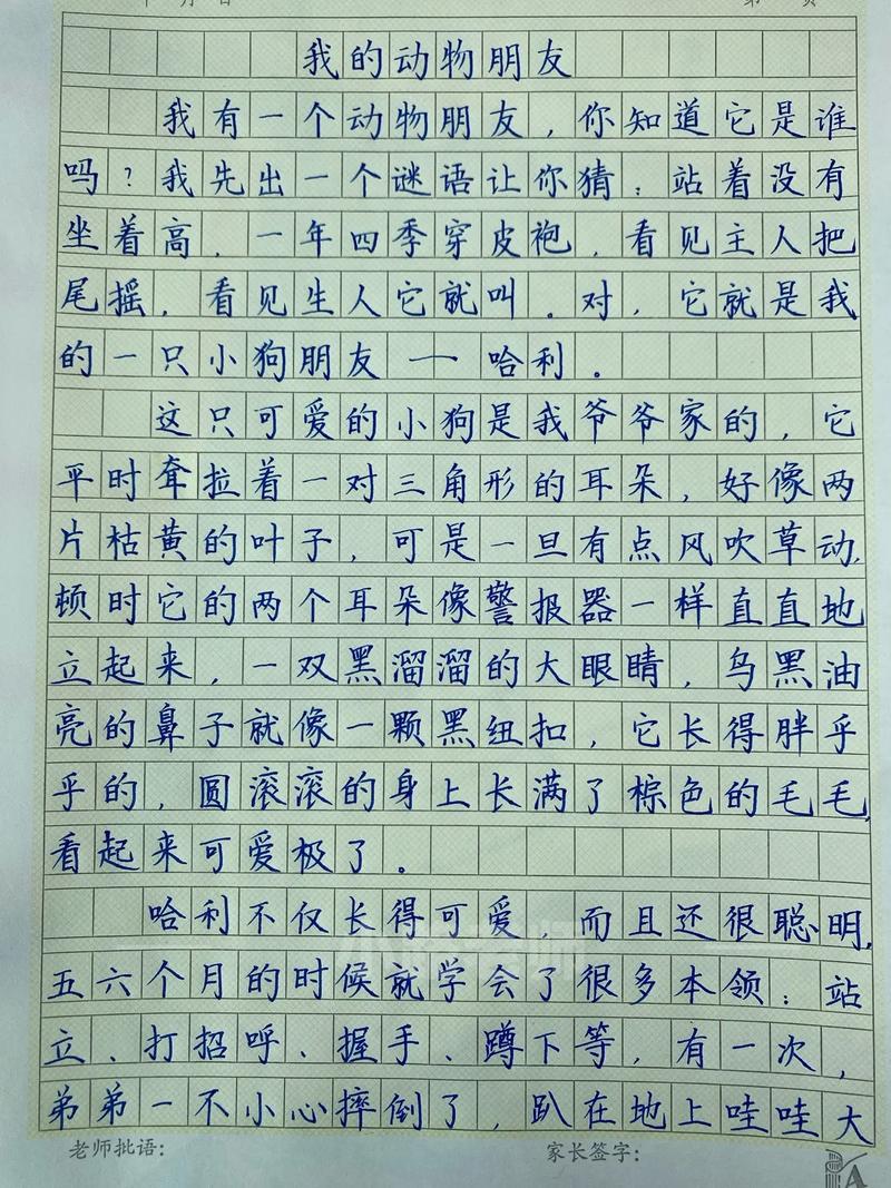 七年级500字作文该怎么写？