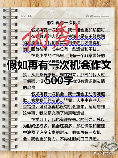 给我一次怎样的机会作文？