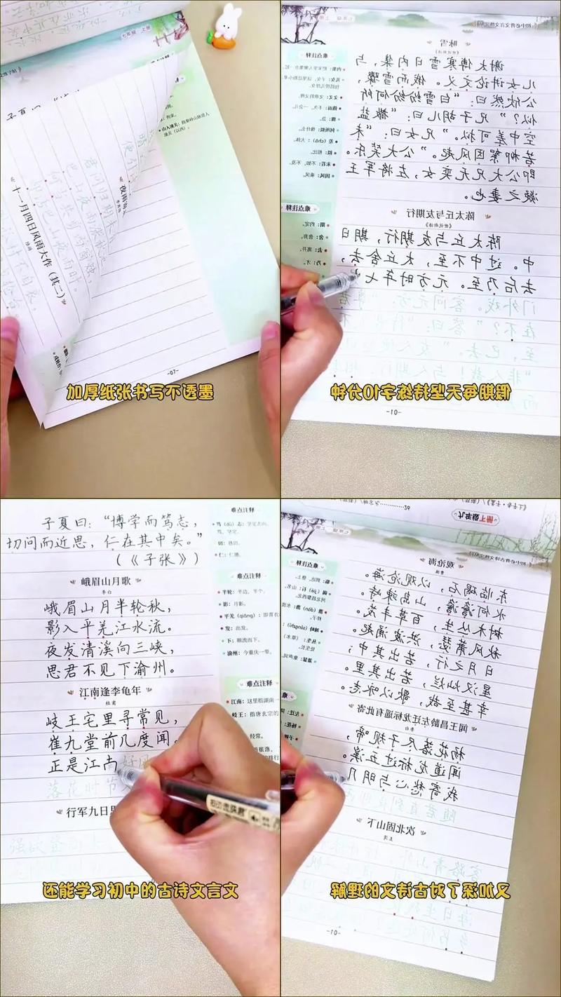 2025高中必背古诗文有哪些新增篇目？