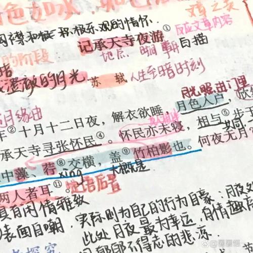 记承天寺夜游考点有哪些必背重点？