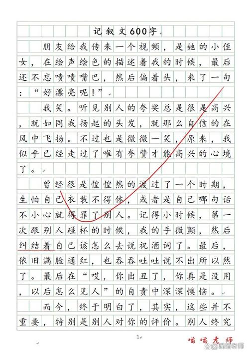600字叙事初中作文写什么？