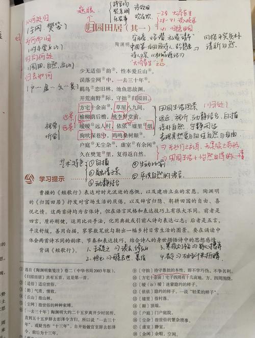 归园田居古诗阅读答案是什么？